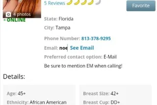 ✨NEW✨UPscale 🐾 Cougar Cave *** Posh Decor & Plush Play Space *** SELECTIVELY 🔎 Screening for THIS location *** - Image 1